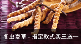 野生冬虫夏草知识