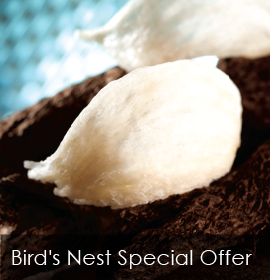 Bird's Nests