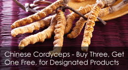 Chinese Cordyceps