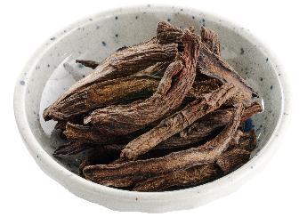Sliced Salvia miltiorrhiza