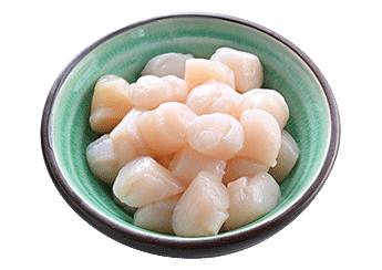 Frozen Scallop Meat